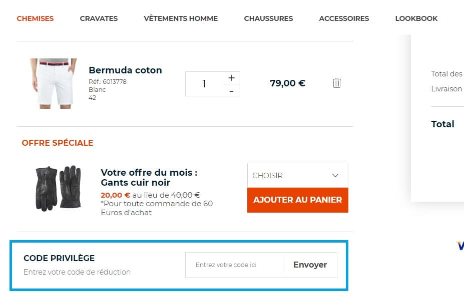 Comment utiliser un code promo Pierre Clarence valide ?