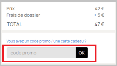 Où mettre mon code promo Loisirs enchères ?