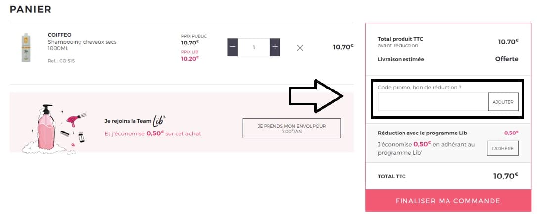 Où mettre mon code promo Bleu Libellule valide ?