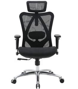 SIHOO chaise de bureau chaise de bureau, ergonomique, soutien lombaire  réglable et accoudoir ~ noir