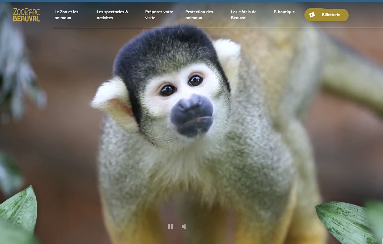 Promo Zoo de Beauval été indien