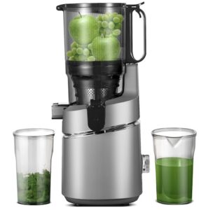 AMZCHEF 250W Extracteur de jus lent automatique Vos mains libres avec triple filtre, Ouverture de 135 mm et capacité de 1,8 L Extracteur de jus de fruits et légumes entiers - Gris